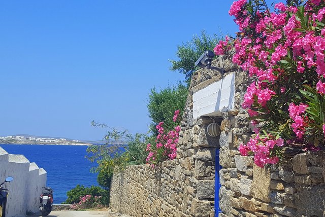 Way to the Sea of the island