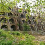 Anand Bhavan - residential Buildings at 84 Kutiya