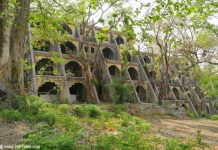 Anand Bhavan - residential Buildings at 84 Kutiya