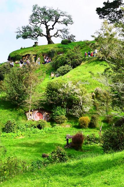 Fake Oaktree created to suit the story - Hobbiton