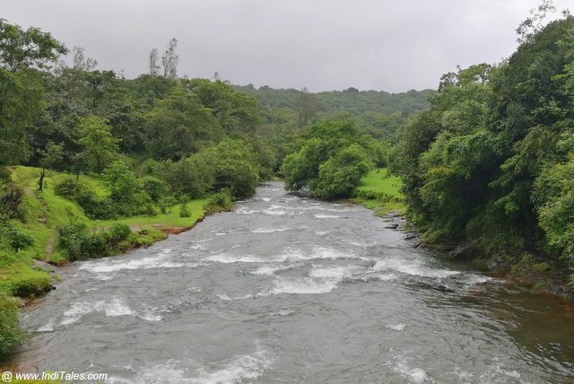 Rivulet at Surla village