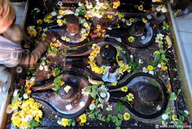 Shivalingas at Chakreshwar Mahadev Mandir near Mansi Ganga - Braj Bhumi