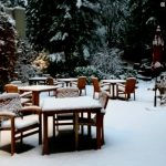 Snow Clad Whistler Landscape