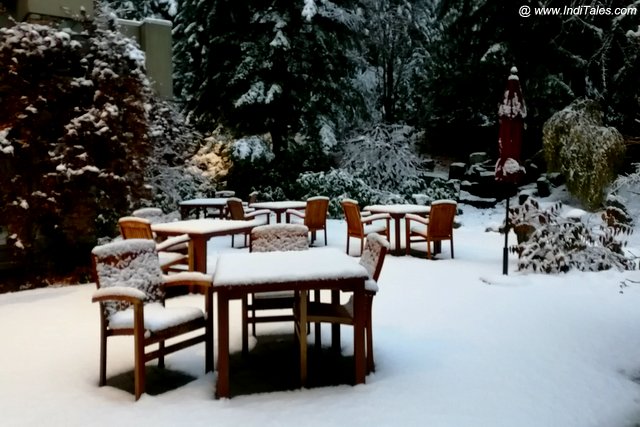 Snow Clad Landscape of Whistler, Vancouver BC