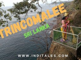 Things to do in Trincomalee Sri Lanka