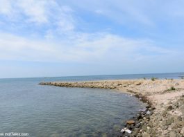 Jaffna Landscape