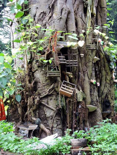 nails and cradles on a temple tree