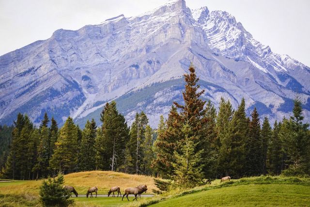 Banff National Park