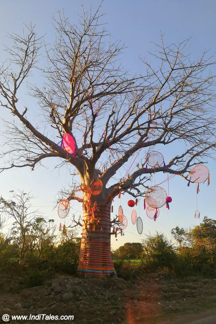 Decorated trees at Mandu Festival