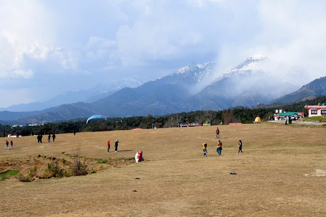 Paragliding landing point at Bir