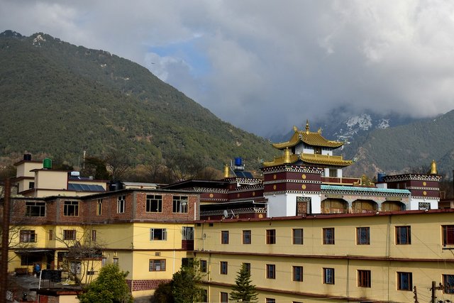 Buddhist Monastery at Bir