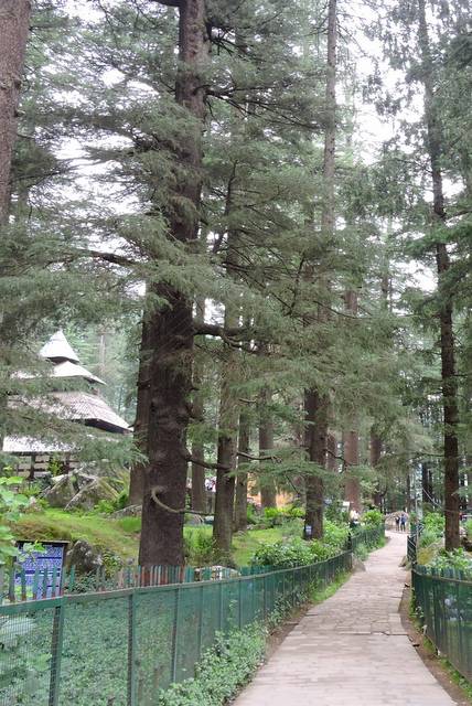 Way to Hidimba Temple in Manali