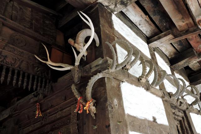 Horns hanging at Hidimba Temple