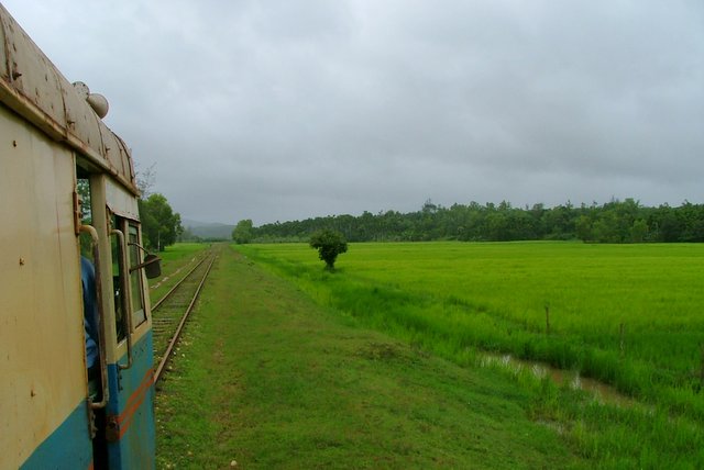 Memorable journeys in the lush green paddy fields of the hinterlands