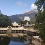 Landscape view of Arunachaleshwar Temple and the Arunachaleshwar hill