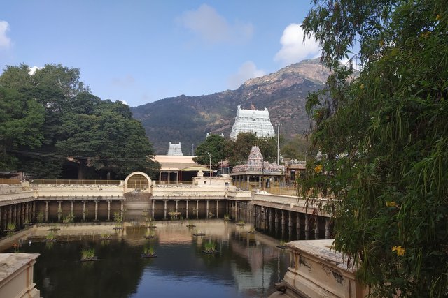 Landscape view of Arunachaleshwar Temple and the Arunachaleshwar hill