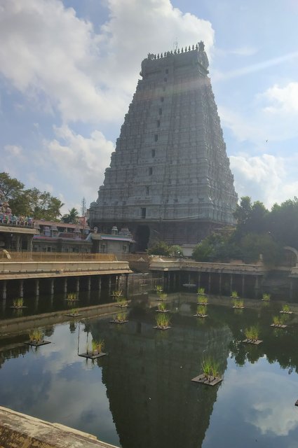 View of Rajagopuram across the Shiva Gangai tank