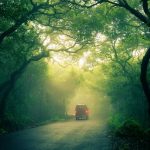 Foggy Monsoons of Mahabaleshwar