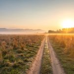 Early morning misty skies enroute a Jungle safari route in Jim Corbett National Park