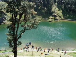 Serolasar Lake Surrounded By The Forest