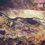 Sheshnag inside the cave