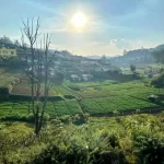 Scenic sights from the toy train between Ooty and Coonoor