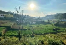 Scenic sights from the toy train between Ooty and Coonoor