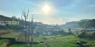 Scenic sights from the toy train between Ooty and Coonoor