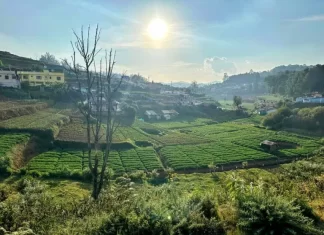 Scenic sights from the toy train between Ooty and Coonoor