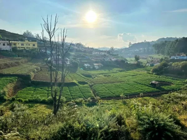 Scenic sights from the toy train between Ooty and Coonoor