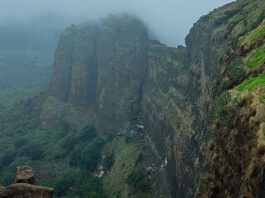 Brahmagiri Hills