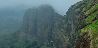 Brahmagiri Hills