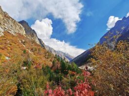 Trekkers Nightmare: When Shoes Decide To Retire Mid-Hike Beautiful but tough terrains of Himalayas