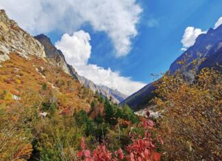 Trekkers Nightmare: When Shoes Decide To Retire Mid-Hike Beautiful but tough terrains of Himalayas