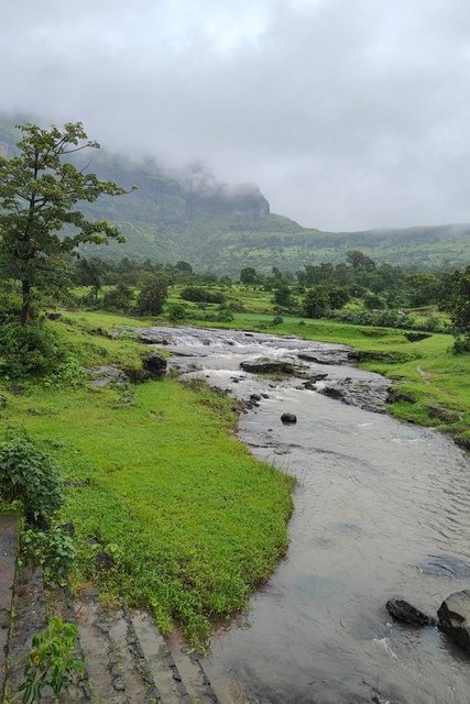 Godavari from Brahmagiri Hills