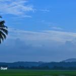 Goa hinterland scene at Maina